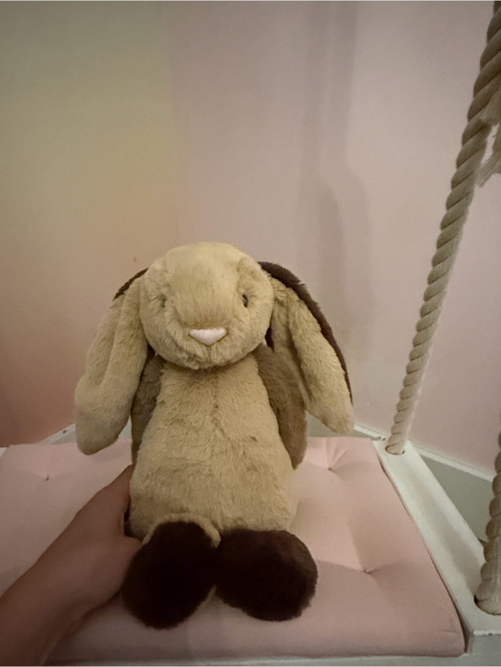 Bashful patchworks bunny looking for a new home❤️
